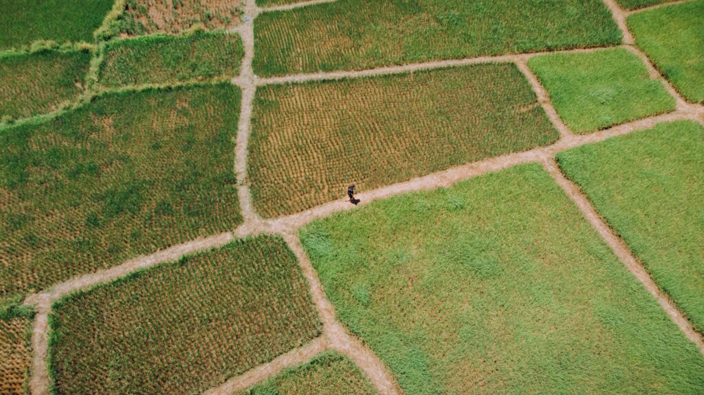 A captivating aerial view capturing a solitary figure walking through lush, patterned fields.
